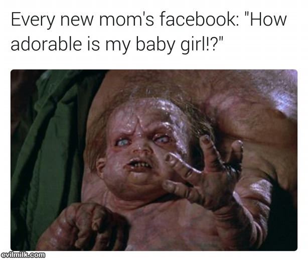 Every New Moms Facebook