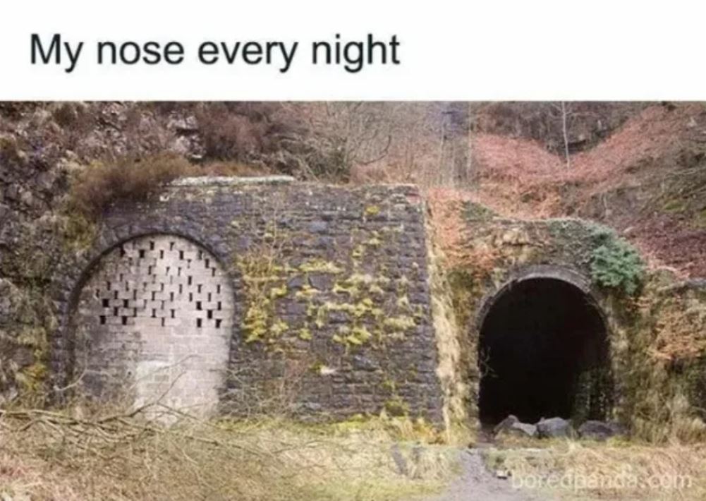 Every Night