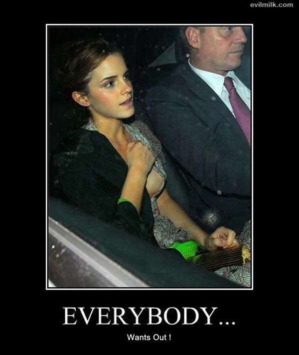 Everybody