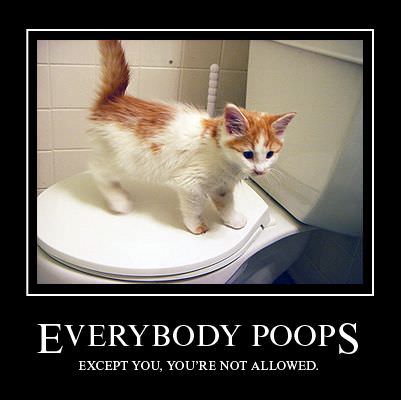 Everybody Poops Cat