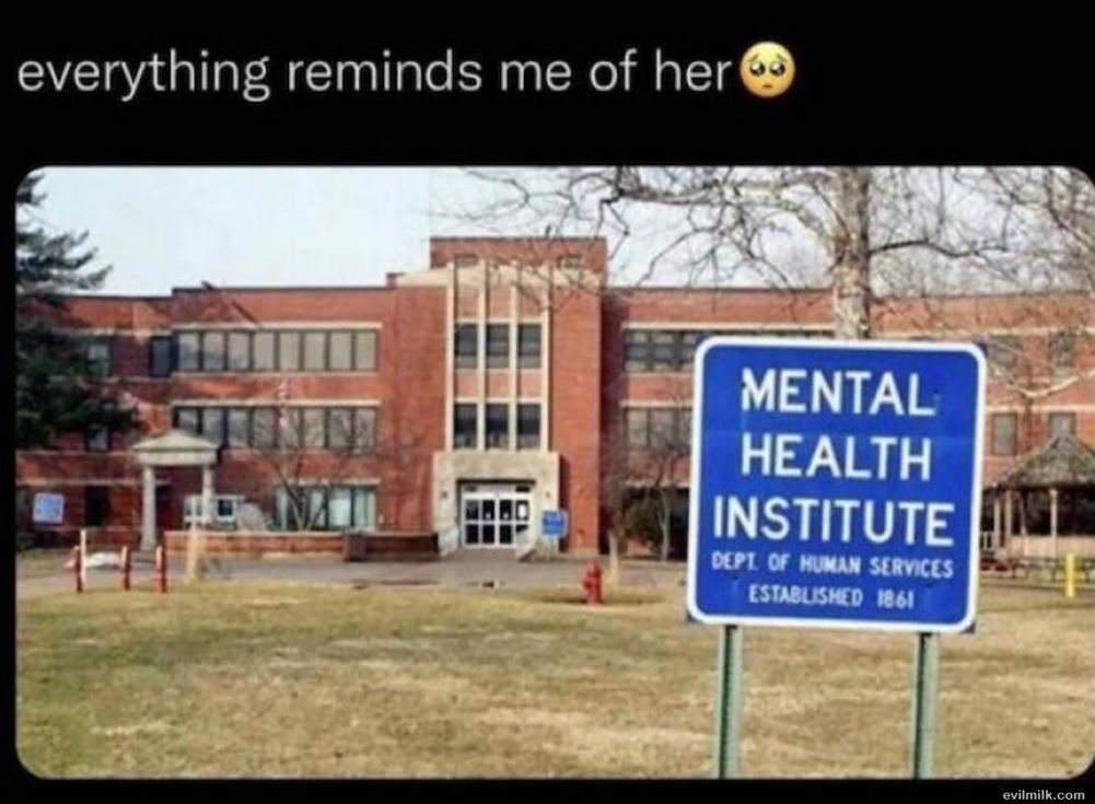 Everything Reminds Me