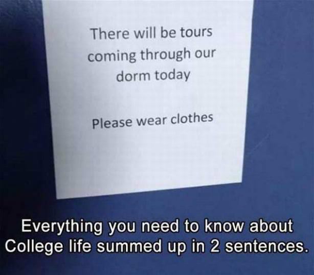 Everything You Need To Know