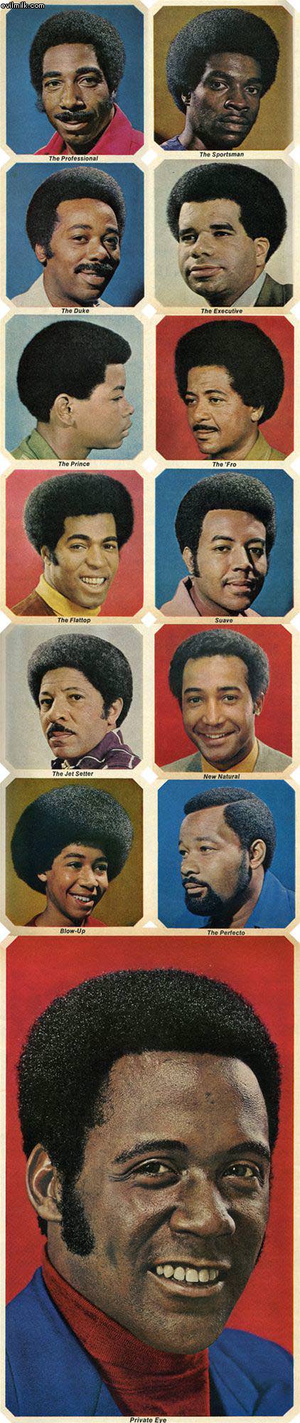 Evolution Of Afro