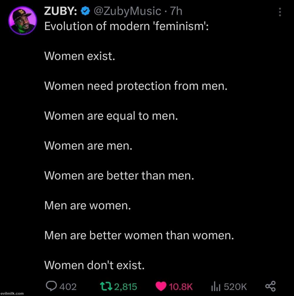 Evolution Of Feminism
