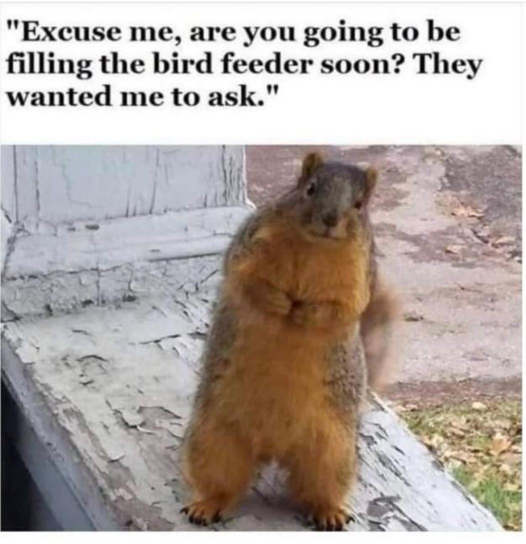 Excuse Me