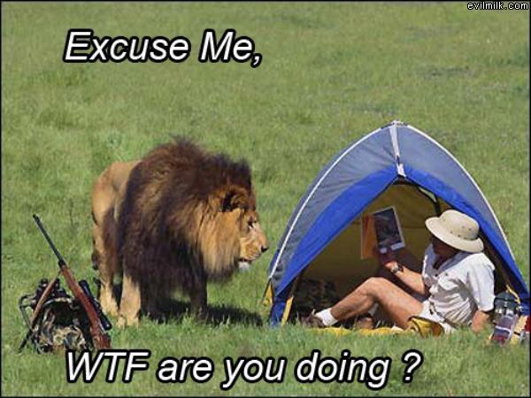 Excuse Me Wtf