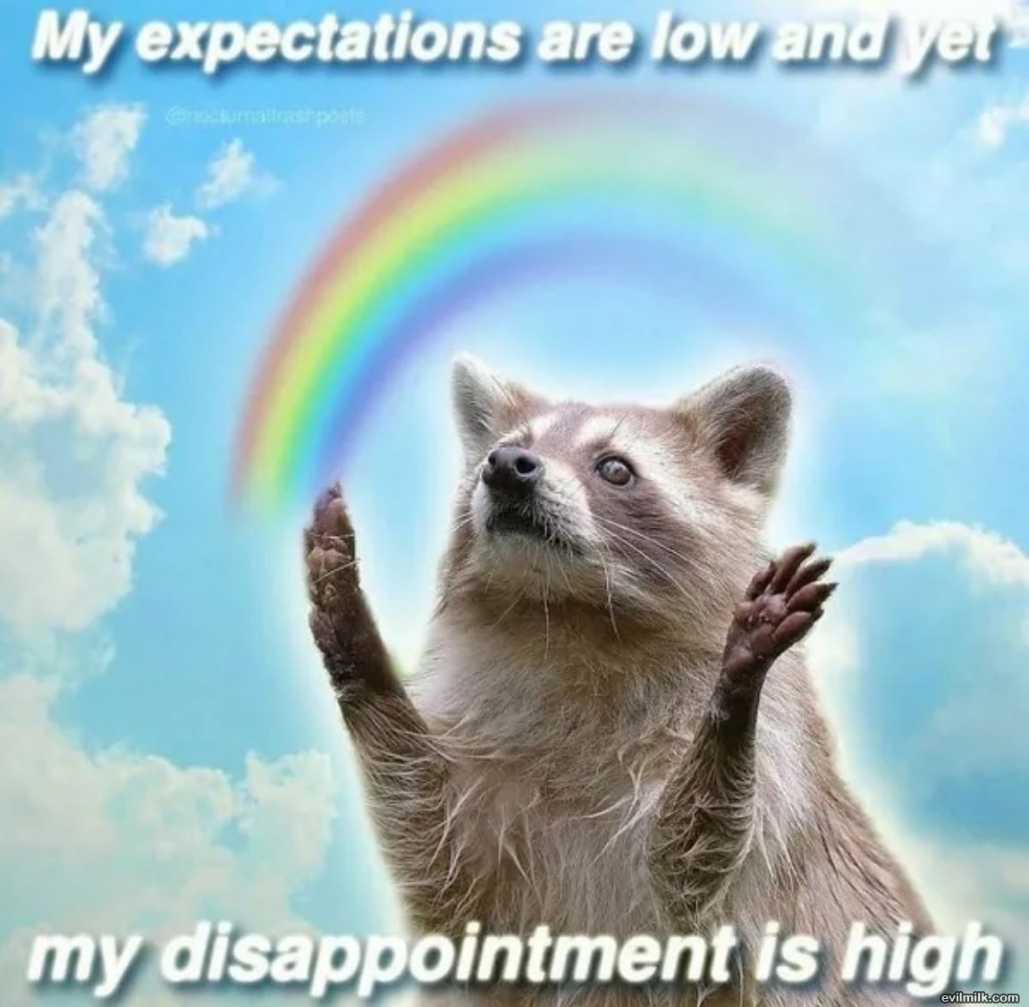 Expectations Are Low