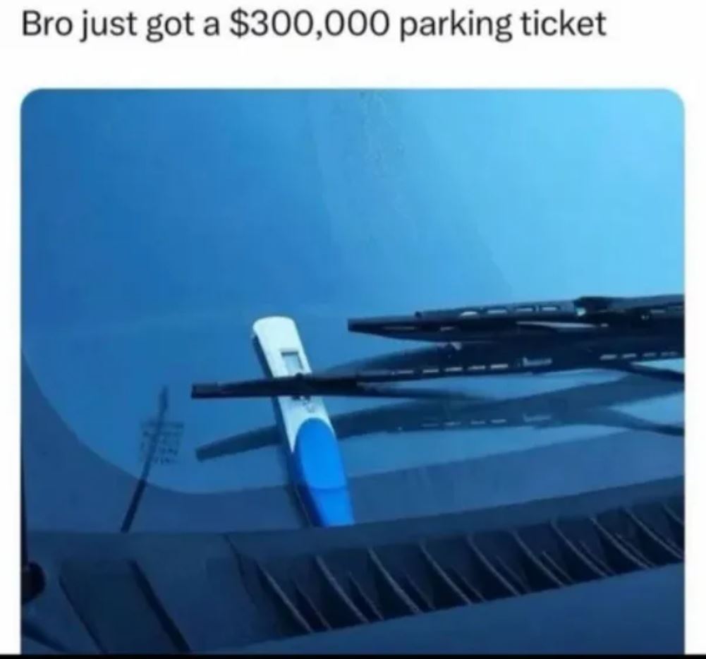 Expensive Ticket