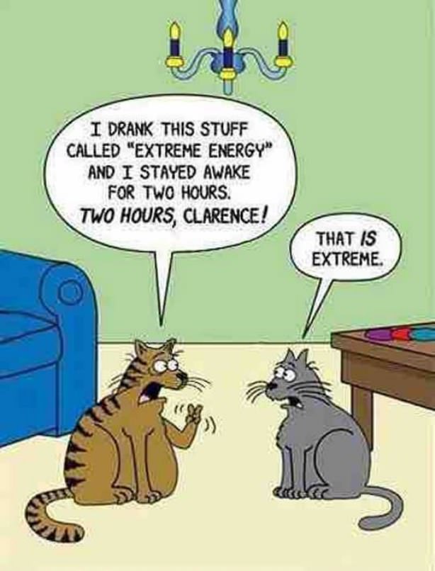 Extreme Cats