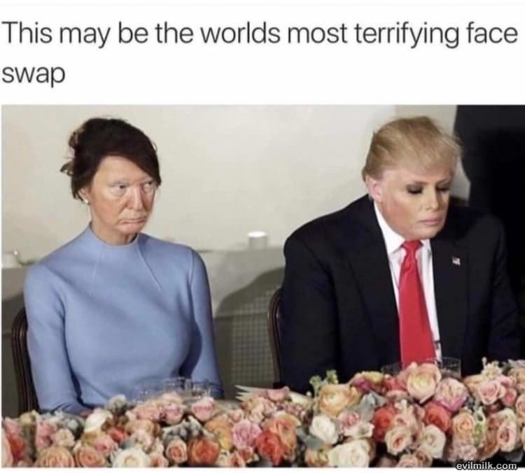 Face Swap