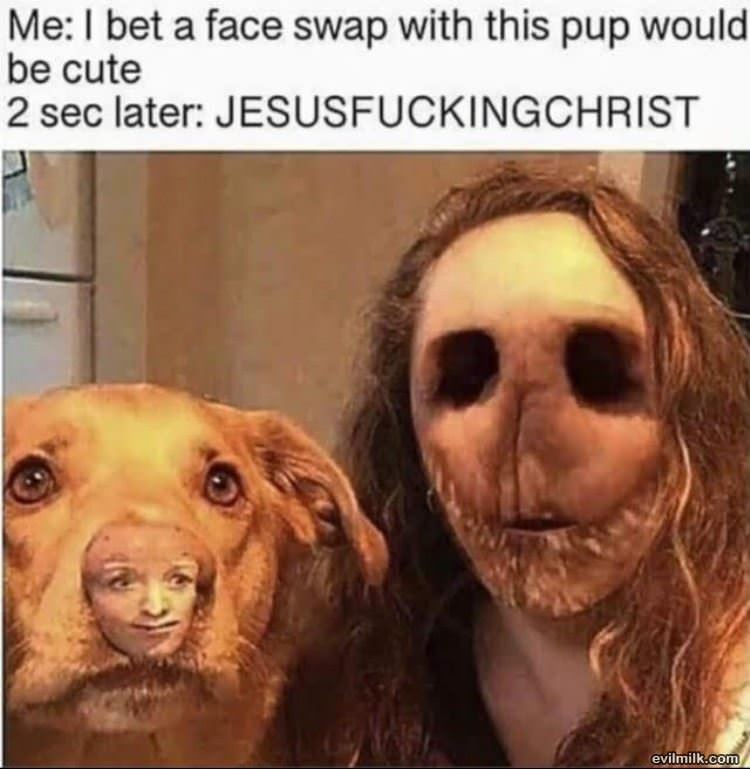 Face Swap The Pup