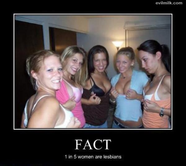 Fact