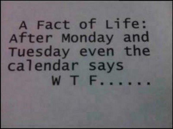 Fact Of Life