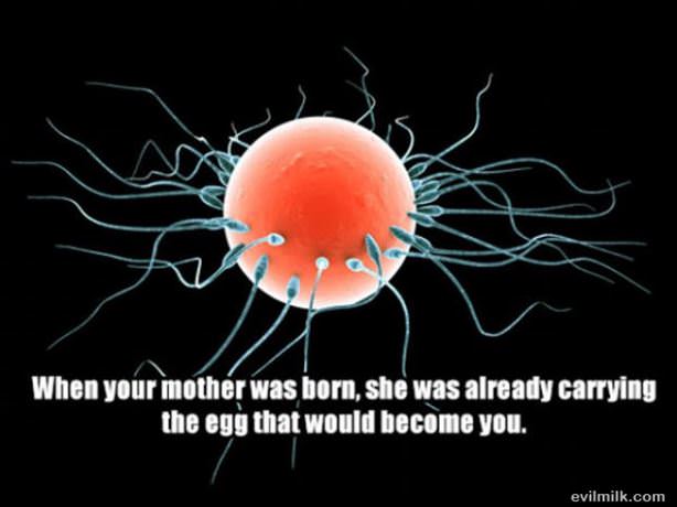 Facts Picdump 19