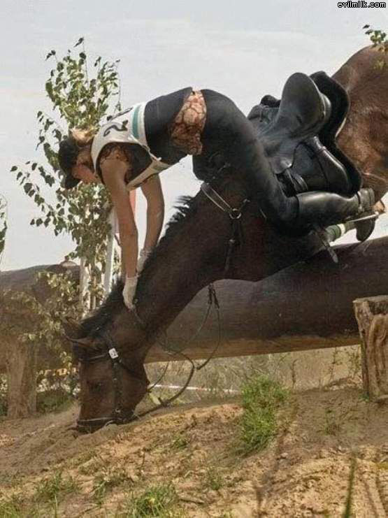 Fail Horse
