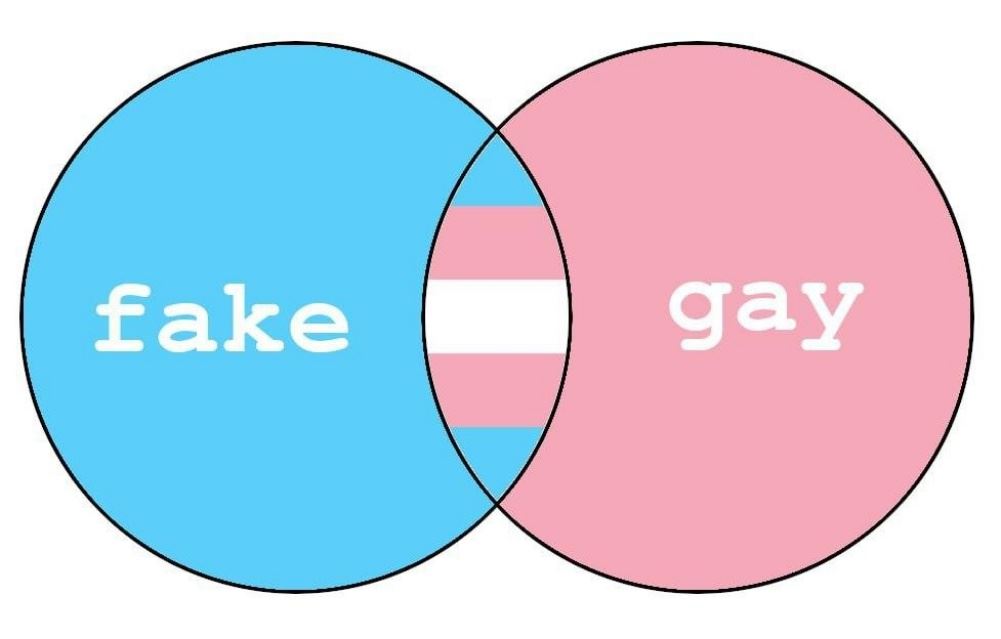 Fake And Gay