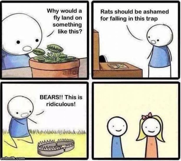 Fall For Anything