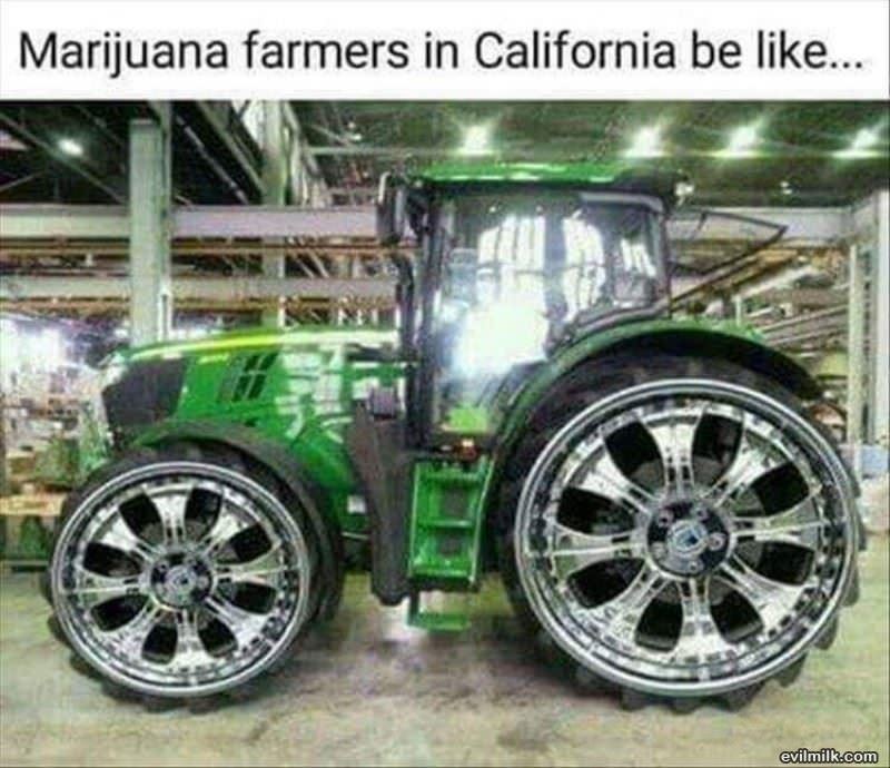Farmers In Cali