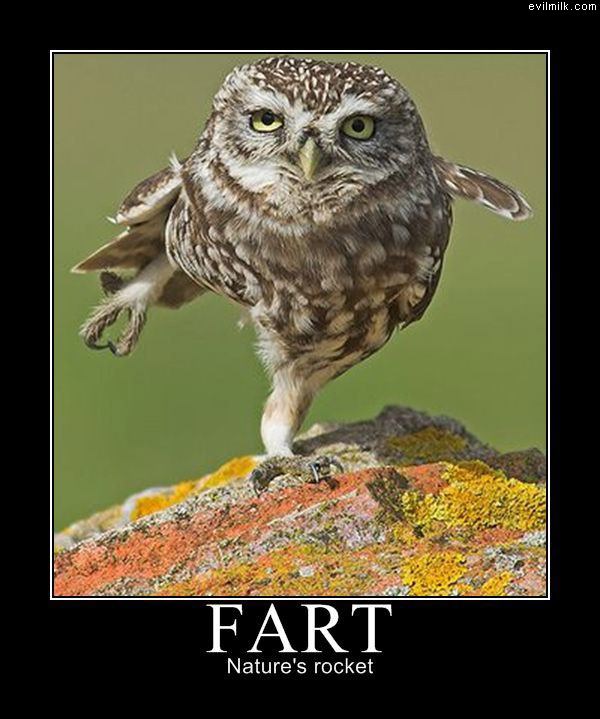 Fart
