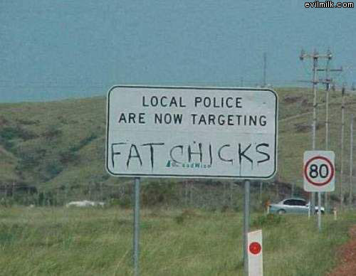 Fat Chicks