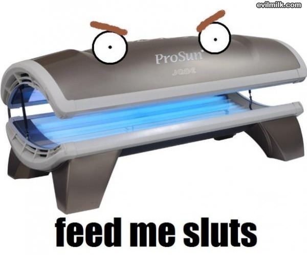 Feed Me Sluts