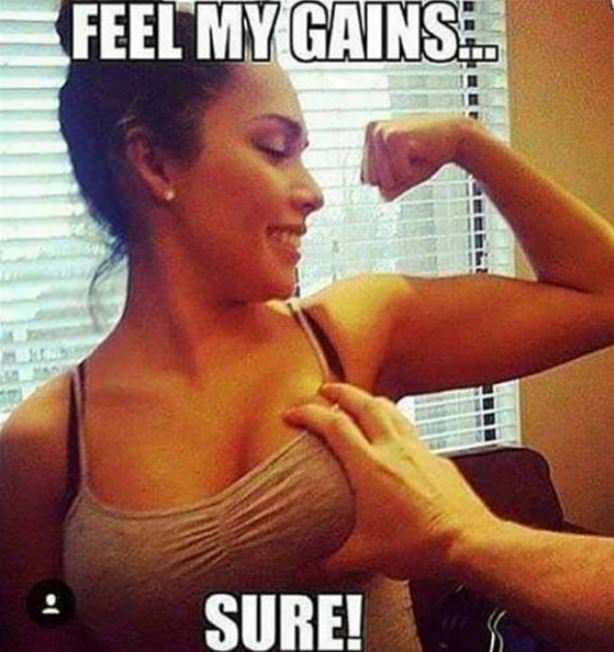 Feel My Gains