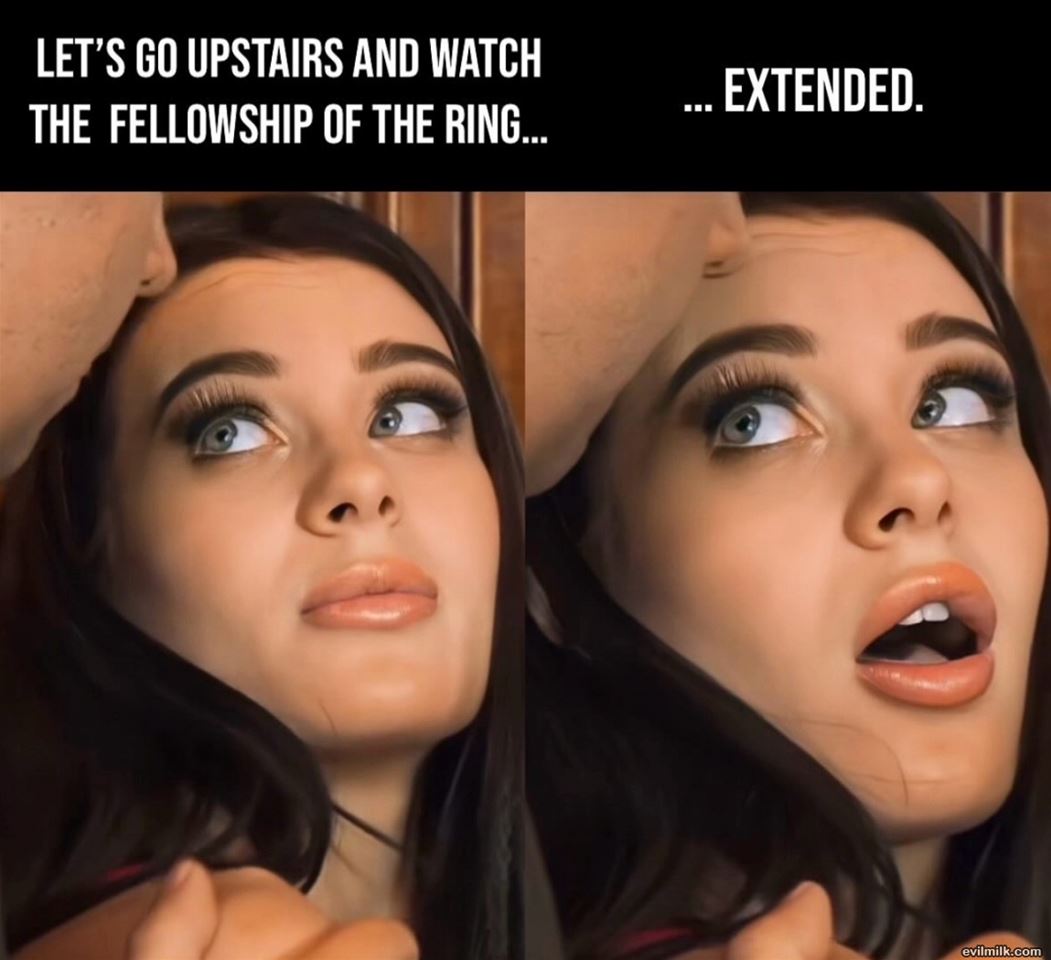 Fellowship