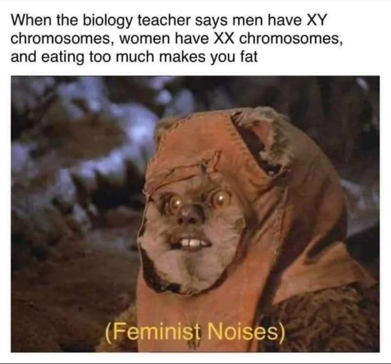 Feminist Noises