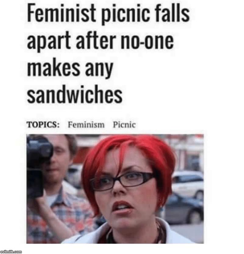 Feminist Picnic