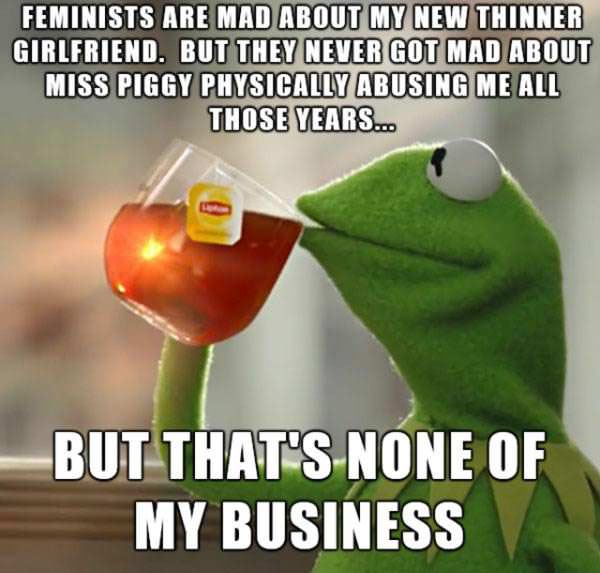 Feminists Are Mad
