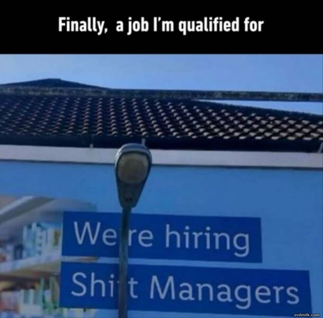 Finally Found A Good Job