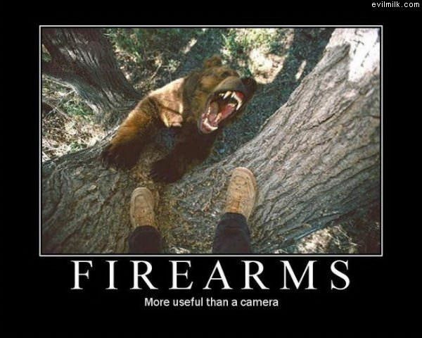 Firearms