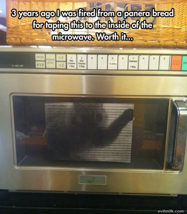 Fired From Panera