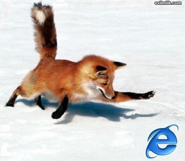Firefox Chasing Ie