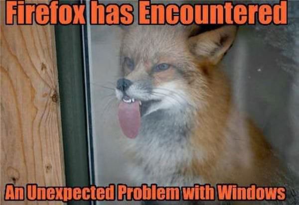 Firefox Windows Problem