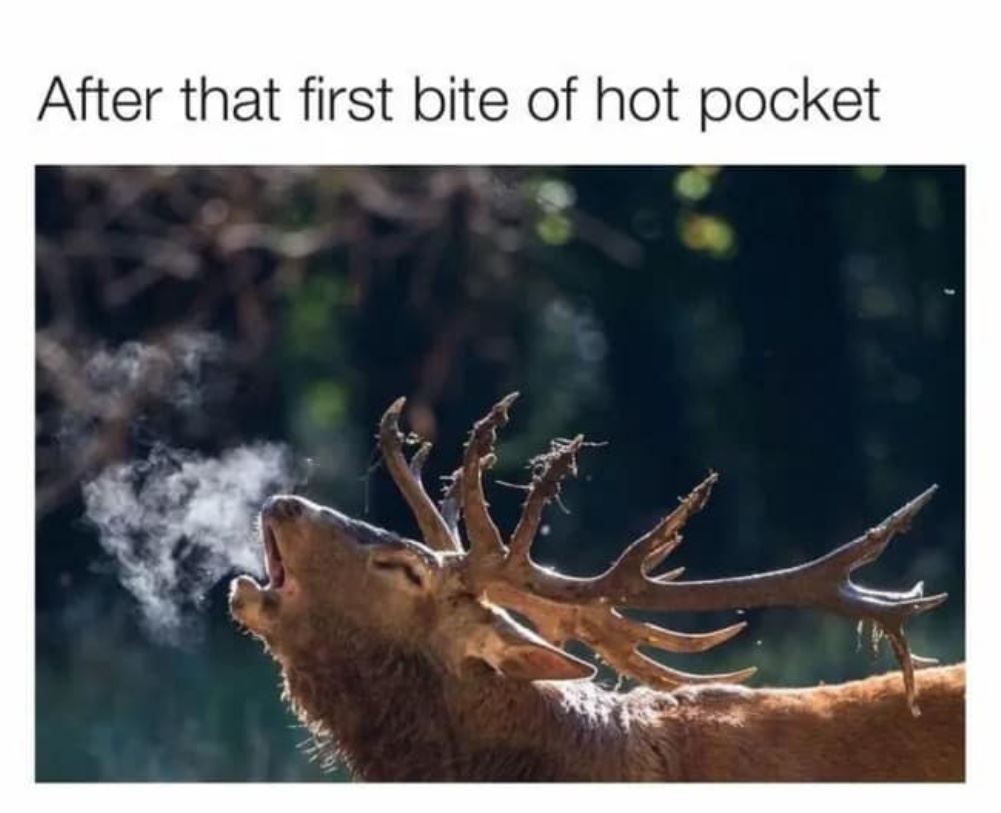 First Bite