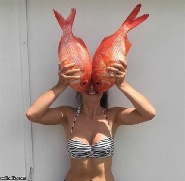 Fish Face