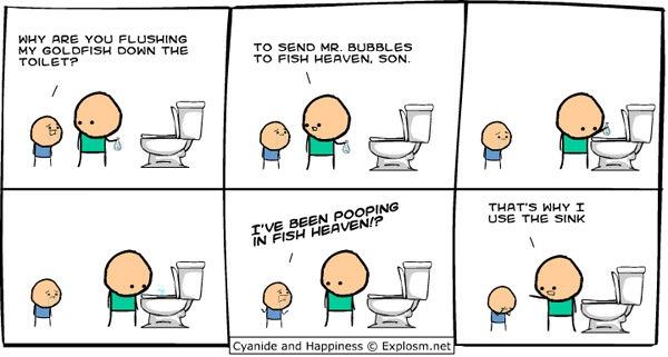 Fish Heaven
