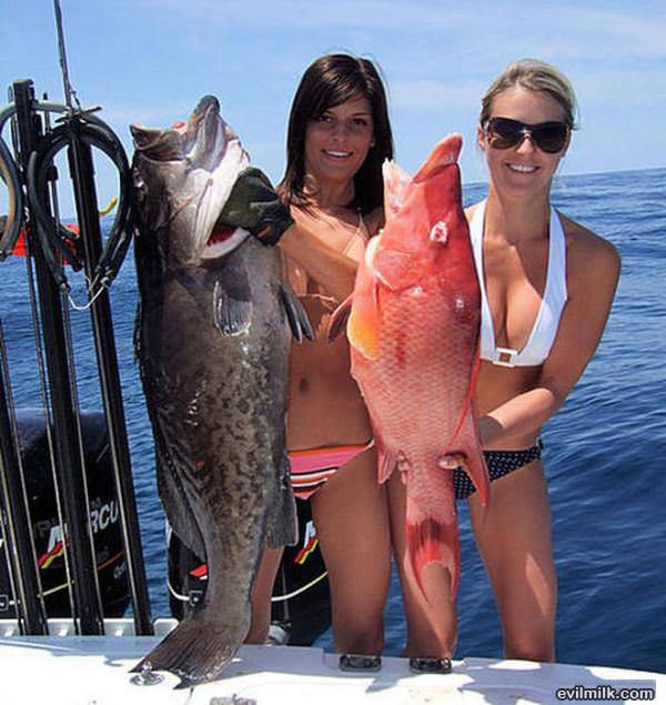 Fishing Picdump 3