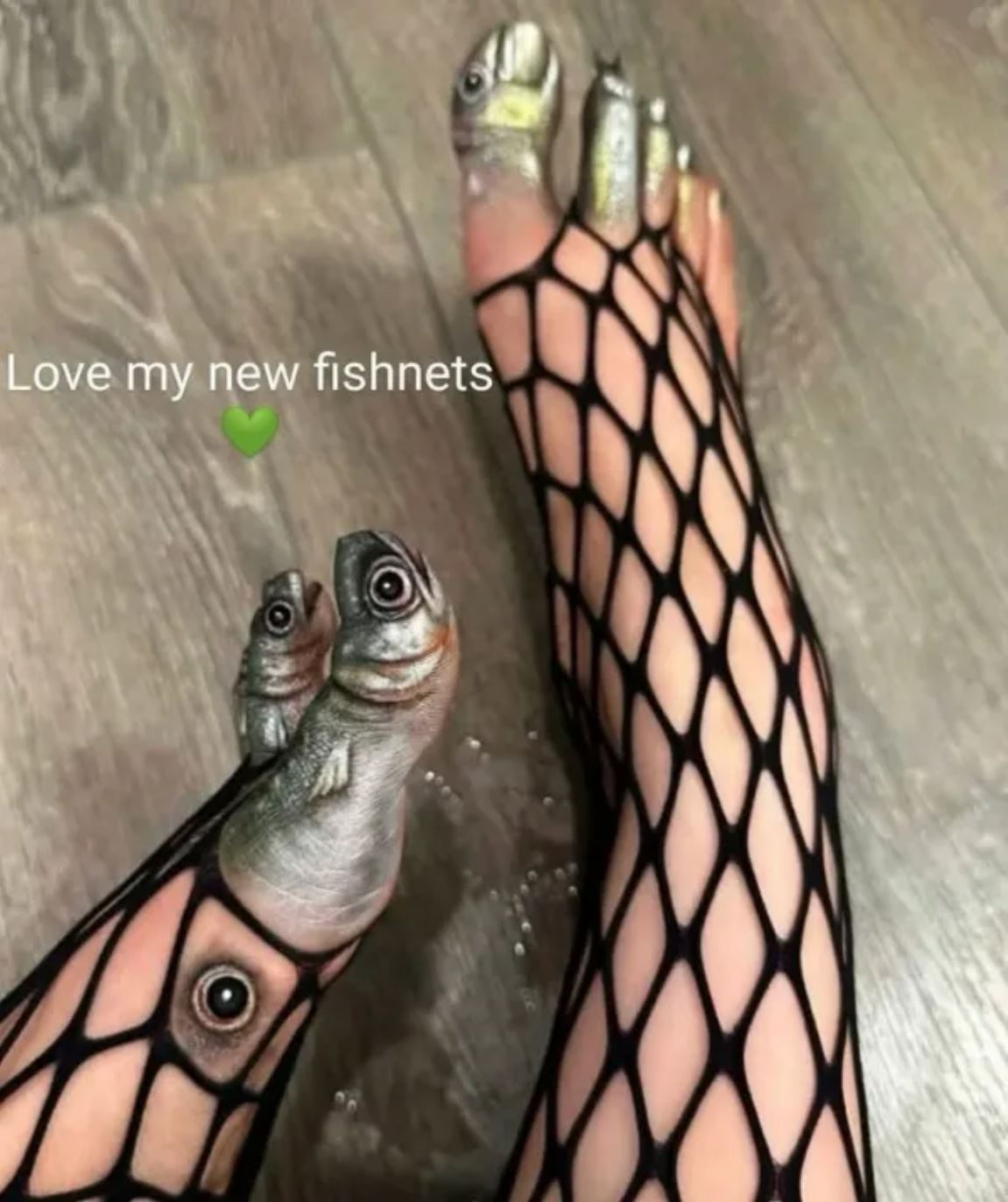 Fishnets