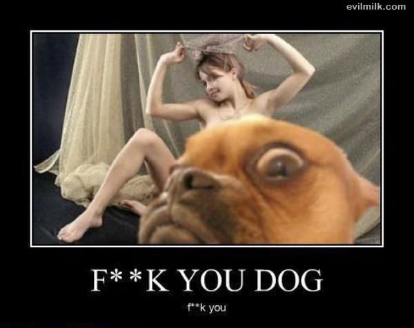Fk You Dog