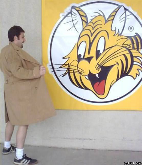Flasher