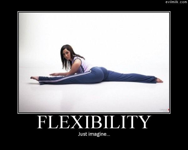 Flexibility
