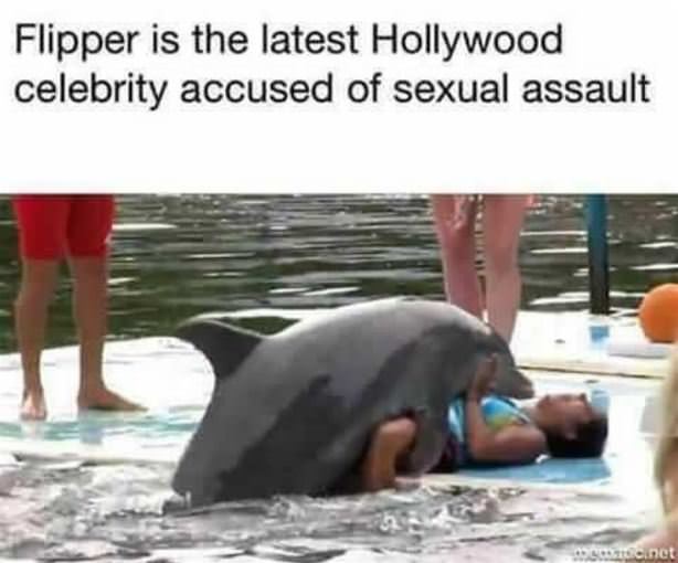 Flipper
