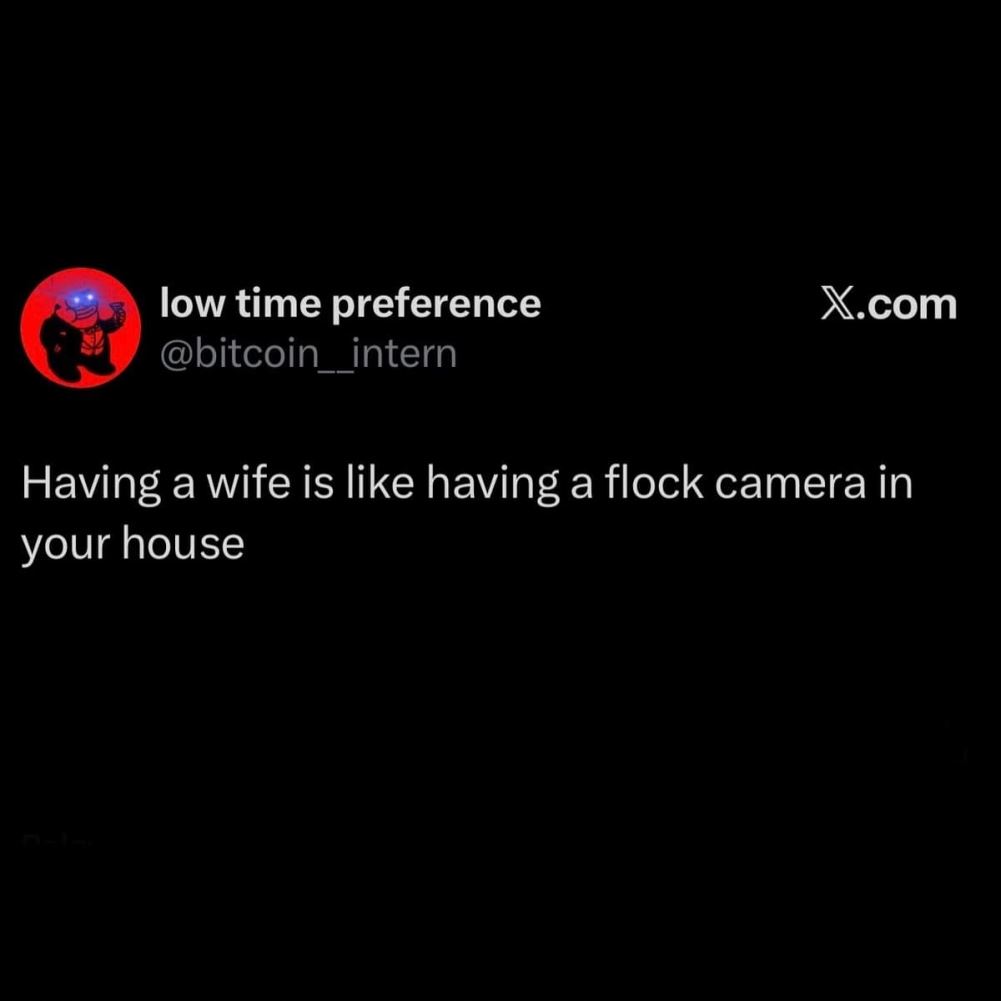 Flock Cameras
