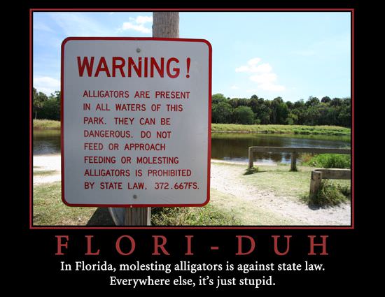 Flori Duh