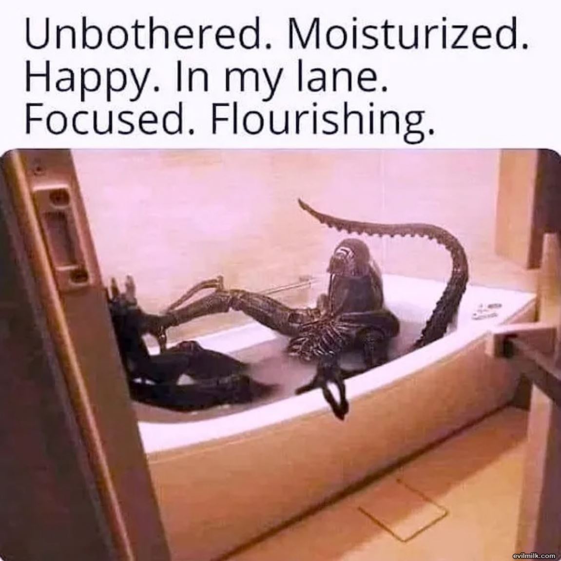 Focus