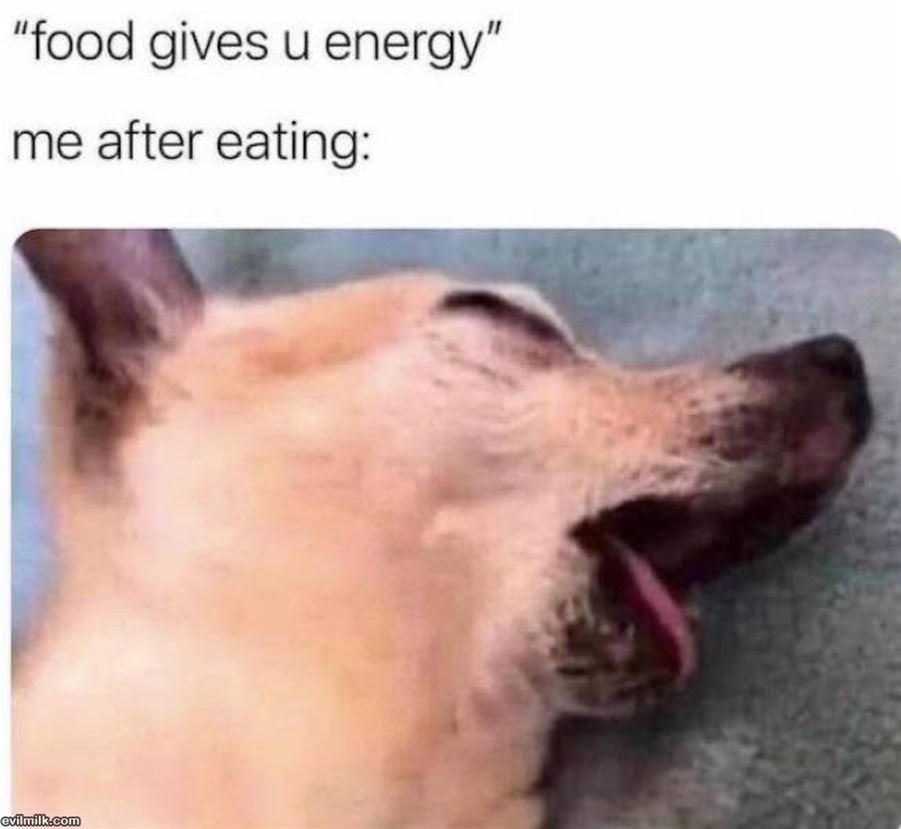 Food Gives You Energy