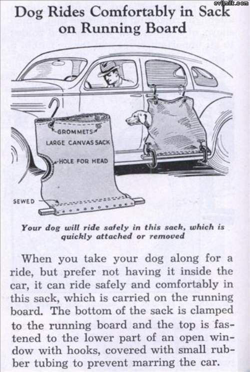 For Dogs