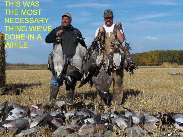For Peta